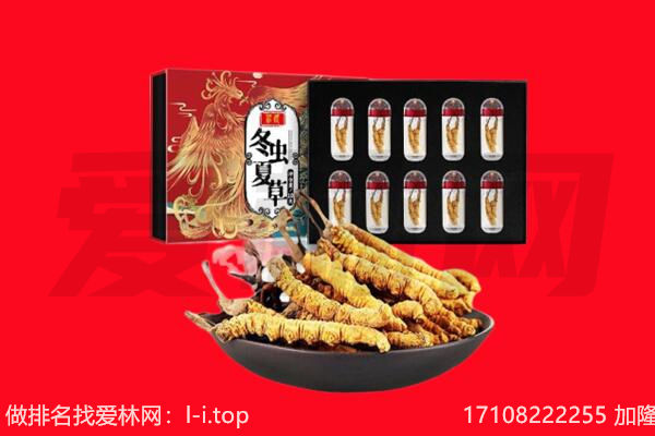 昌吉市吉木萨尔县回收虫草.jpg